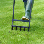 aerate lawn